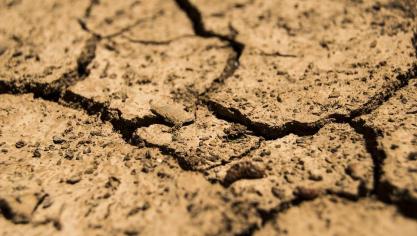 drought-780088_960_720