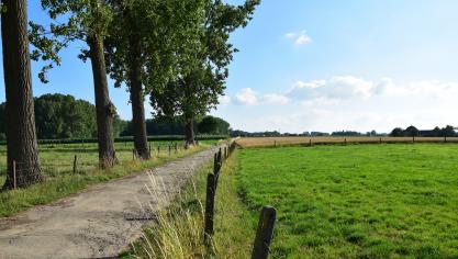 Aan de langstlevende echtgenoot werd op grond van de Wet op de erfregeling inzake landbouwbedrijven geen recht van overname toegekend, maar dit doet geen afbreuk aan het recht op preferentiële toewijzing aan de langstlevende echtgenoot.