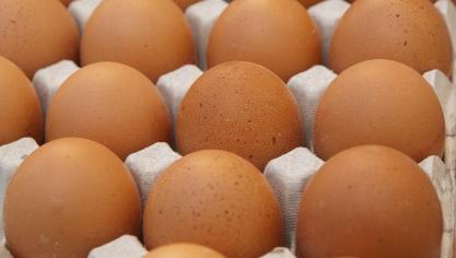eggs-1882837_960_720