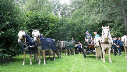 Op de 1e ledendag van de Vlaamse Haflingerclub waren 65 leden aanwezig.