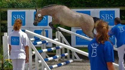 Just a dream de Sarty zegevierde bij de tweejarigen.