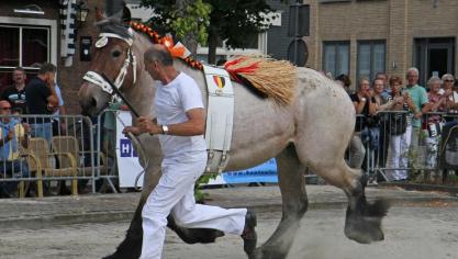 Patrick Vinck, trotteur van het jaar 2017.