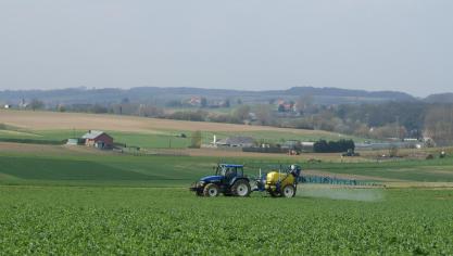 Door de hoge standdichtheid dit voorjaar moesten sommige  koolzaadpercelen verkort worden.