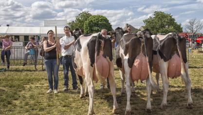 Winnend bedrijfslot. Eig.: Lieven en Frederik Ryckewaert, Harelbeke.