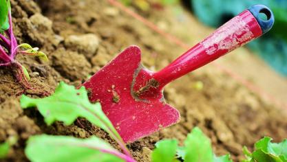 gardening-2448134_960_720