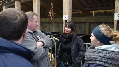 Bij de keuze van de stieren geeft Sophie Merlant de voorkeur aan  melkproductie, gehalten en het functioneren.
