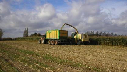 Wil men vasthouden aan de klassieke manier van werken, zaaien na de oogst, dan kan er gestreefd worden naar een vroegere maïsoogst.