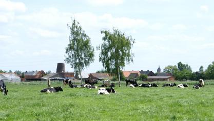 De te verwachten melkdip bleek alvast voor juni en juli minder uitgesproken.