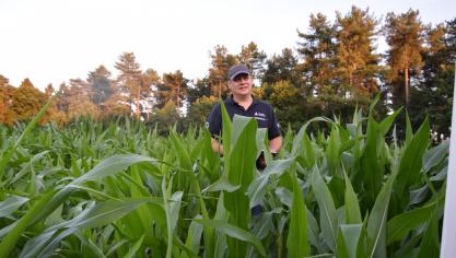 Ook aan houtsnippers wordt gedacht om organische stof toe te voegen.