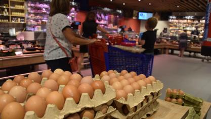 De ene crisis is duidelijk de andere niet. De consument blijft na de fipronilcrisis zijn vertrouwen in de landbouwsector nagenoeg behouden.