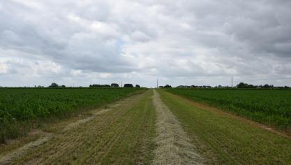 Een grasgang en pad op houthaksel worden dit jaar aangelegd, zodat de bezoekers meer wandelcomfort hebben op de terreinen.