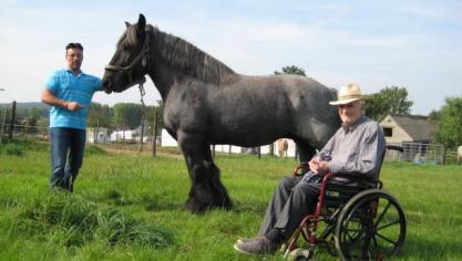 De 96-jarige Gustaaf Sorgeloos uit Gooik