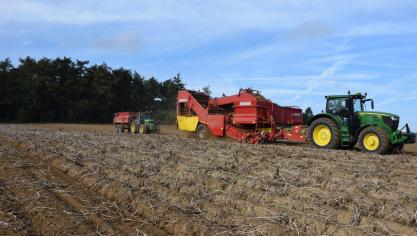 Schenk voldoende aandacht aan  de loofdoding en afrijping van het gewas alvorens de aardappelen  te gaan rooien.