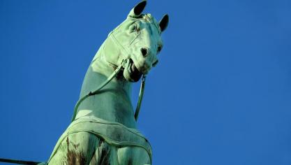 paard