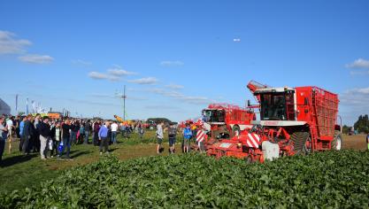 Naast maïs vormen suikerbieten een belangrijke teelt op de Werktuigendagen. Bij het rooien van  bieten tonen fabrikanten steeds meer aandacht voor de bodemdruk die uitgeoefend wordt door  de machines.