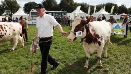 Ook de Oost-Vlaamse Witroden zijn zoals steeds van de partij, zij het deze keer via een tentoonstelling.