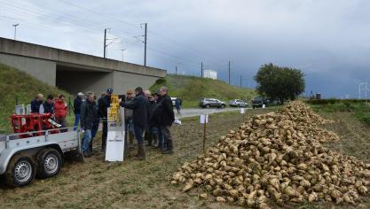 Het Bieteninstituut en de Tiense Suikerraffinaderij gaven vorige week op meerdere plaatsen toelichting bij het micro-ontkoppen van de suikerbieten.
