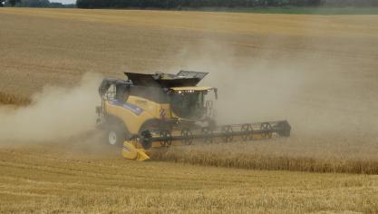 Een wereldrecordpoging gerstoogst per ha lukte niet, maar Syngenta ziet hybride gerstrassen wel hun eigenschap als opbrengsttoppers bevestigen.