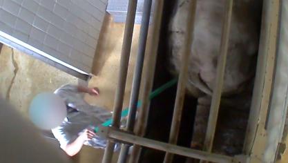 Eén van de voorwaarden voor heropstart is het ontslag van het personeelslid op de beelden.