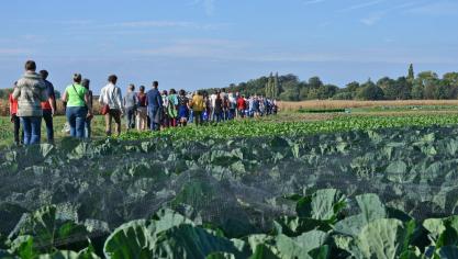 Op de kouter in Afsnee is 10 ha grond beschikbaar, geschikt voor akkers of grasland.