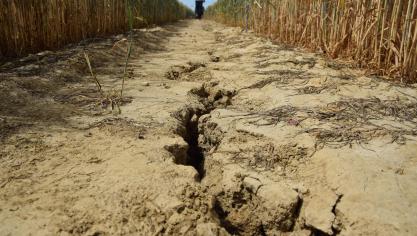 Door de opwarming van de aarde komen droogtes en hevige regenval steeds vaker voor, denken experts.