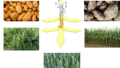 ‘Hoe doen onze gewassen het op de markt en met welk gewas verdienen we het beste?’ was de centrale vraag tijdens de graanavond.