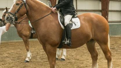 Voorzitter Roger Talpe met Nestor Stal Coen, winnaar bereden  proef .