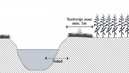 De controle van de teeltvrije zone zal voortaan ook behoren tot het controlepakket van de toezichthouders van de Mestbank.