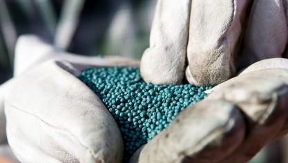 BASF schurkte tegen de zadenmarkt aan, maar gaat nu pas zelf zaden verkopen.