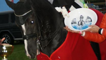 Nationaal LRV-kampioene dressuur Annelies Van Looveren uit Meerhout.