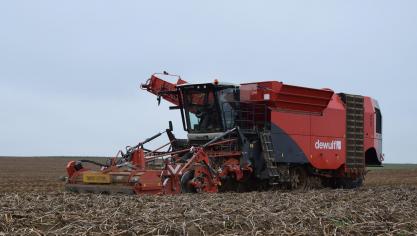 Dewulf-Miedema gaat verder onder de Dewulf merknaam.