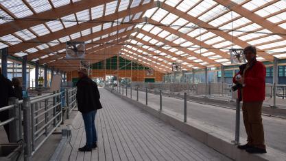 “Voor weidegang zijn er gewoon te veel dieren. De stallen zijn erop gebouwd om veel daglicht binnen te laten”, legt Pavel Novotný uit.