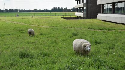 Dit project wil inzetten om  mogelijkheden en moeilijkheden van de korte keten in kaart te brengen en beter kenbaar te maken.