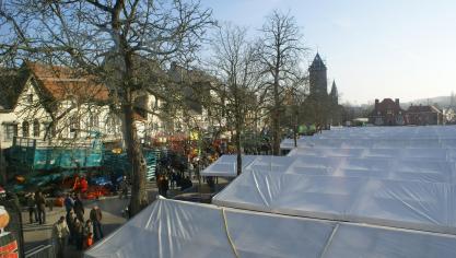 Om en bij de 1.100 runderen worden op Houtem-jaarmarkt te koop aangeboden.