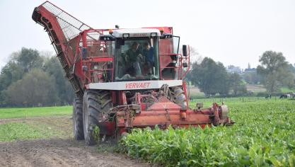 Wat je wil doen met de bieten, bepaalt de instellingen van de rooier.