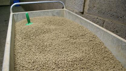 Hoe reduceren we de ecologische voetafdruk van varkens? Een goede voederconversie blijkt zowat de belangrijkste factor. Pellets zouden het ecologisch beter doen dan meel.