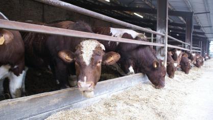Momenteel is er nergens in België een gereglementeerde zone, maar de situatie kan ieder moment veranderen.