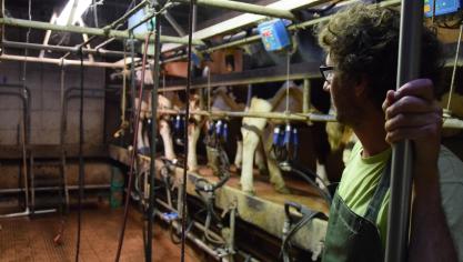 In principe moeten alle metalen constructies binnen een stalcomplex verbonden zijn, ook met de aarding.