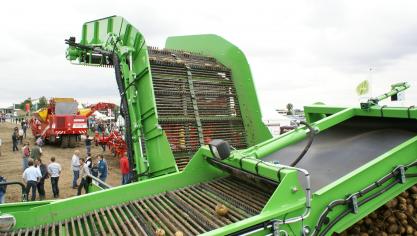 Aardappelprijzen vielen in 2017 flink tegen.