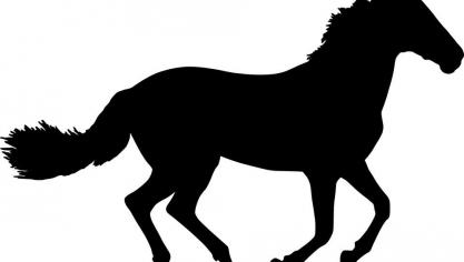 horse-2795105_960_720 (2)