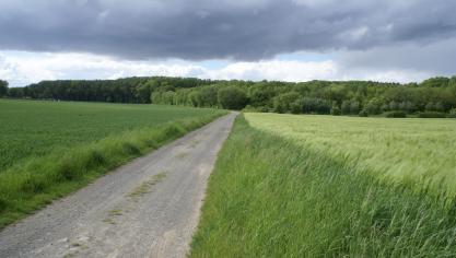 Gove vindt subsidies op basis van hectares niet van deze tijd.