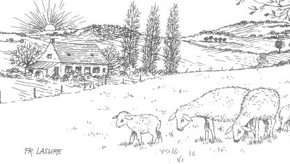 Plattelandsdichter Jozef Vandromme uit Geluwe deelt elke maand van het jaar 2018 een echt buitengedicht met de lezers van Landbouwleven, onder de werktitel ‘Van mensen en seizoenen’. De tekening is van de hand van Frans Lasure.