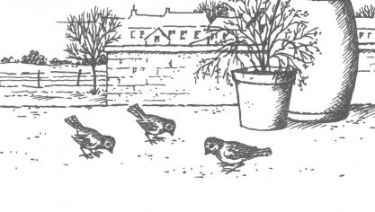 Plattelandsdichter Jozef Vandromme uit Geluwe deelt elke maand van het jaar 2018 een echt buitengedicht met de lezers van Landbouwleven, onder de werktitel ‘Van mensen en seizoenen’. De tekening is van de hand van Frank Lasure.