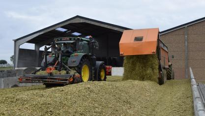 De snijmaïsteelt kende in 2017 een moeilijke start, maar aan het einde van de rit vielen de opbrengsten meestal mee.
