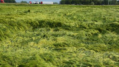 Voor 2016 erkende het KMI vier calamiteiten als ramp.