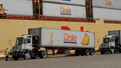 Dole is wereldwijd één van de grootste handelaren in groenten en fruit.