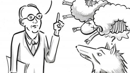 De schapen aanvallen bleek niet Naya’s grootste fout te zijn.