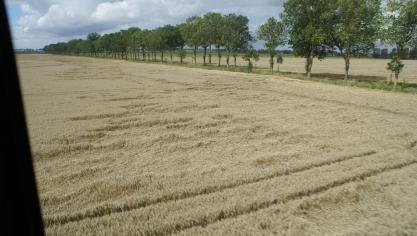 Doordat het OCMW van Gent alle 72 percelen in hetzelfde lot verkocht, sloot het individuele landbouwers uit van de verkoop.