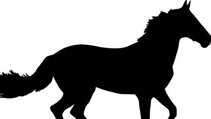 horse-2795105_960_720
