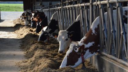 In Nederland heeft de Partij voor de Dieren discussies over dierenwelzijn in de landbouw aangevoerd.